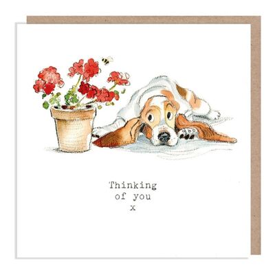 Biglietto d'auguri cane che pensa a te - Biglietto d'auguri di qualità - Illustrazione affascinante - Gamma "Absolutely barking" - Basset hound - Prodotto nel Regno Unito - ABE02