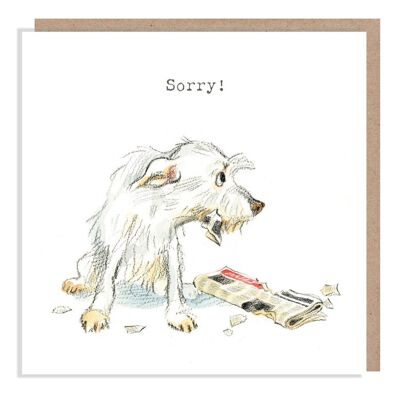 Sorry Card - Dog card - Quality Greeting Card - Charming illustration - 'Absolutely barking' range - Made in UK - ABE06