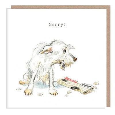 Sorry Card - Dog card - Quality Greeting Card - Charming illustration - 'Absolutely barking' range - Made in UK - ABE06