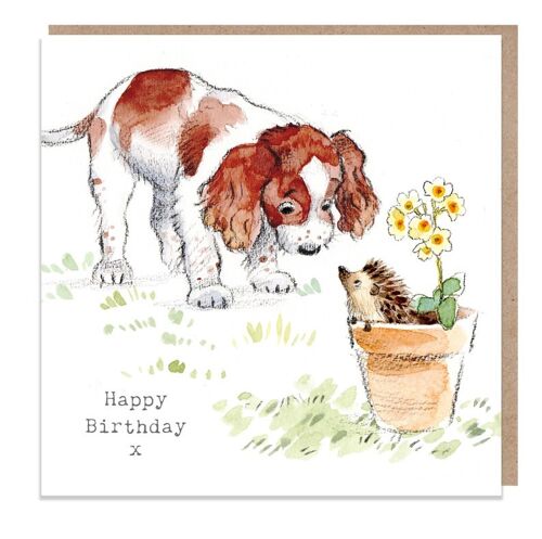 Dog Birthday Card - Quality Greeting Card - Charming illustration - 'Absolutely barking' range - Springer Spaniel- Made in UK - ABE012