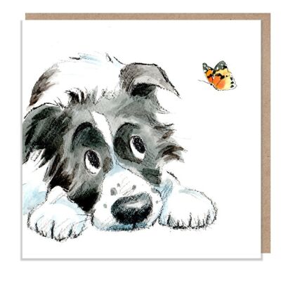 Biglietto bianco - Biglietto d'auguri di qualità - Illustrazione del cane affascinante - Gamma "Absolutely barking" - Border Collie - Prodotto nel Regno Unito - ABE029