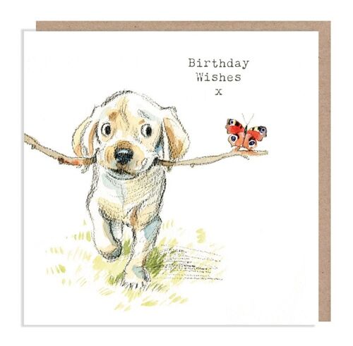 Dog Birthday Card - Quality Greeting Card - Charming illustration - 'Absolutely barking' range - Labrador puppy - Made in UK - ABE03