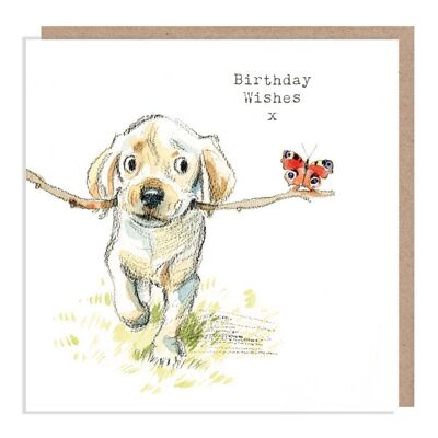 Tarjeta de cumpleaños para perros - Tarjeta de felicitación de calidad - Ilustración encantadora - Gama 'Absolutamente ladrando' - Cachorro de Labrador - Hecho en el Reino Unido - ABE03