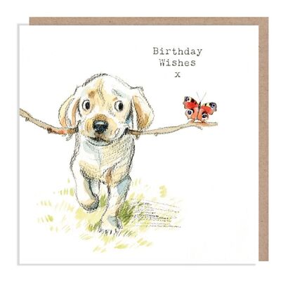 Biglietto di compleanno per cani - Biglietto di auguri di qualità - Illustrazione affascinante - Gamma "Absolutely barking" - Cucciolo di Labrador - Prodotto nel Regno Unito - ABE03