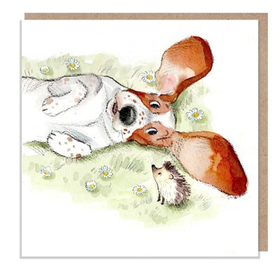 Tarjeta en blanco - Tarjeta de felicitación de calidad - Ilustración de perro encantador - Gama 'Absolutamente ladrando' - Basset Hound y Hedgehog - Hecho en el Reino Unido - ABE033
