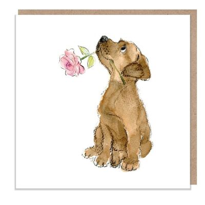 Tarjeta en blanco - Tarjeta de felicitación de calidad - Ilustración encantadora - Lindo perro - Gama 'Absolutamente ladrando' - Chocolate Labrador - Hecho en el Reino Unido - ABE048