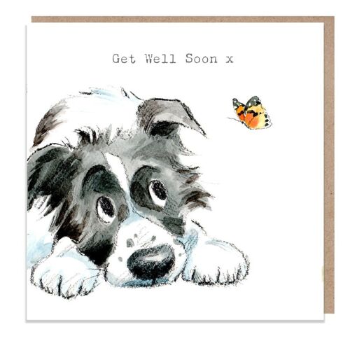 Get well Soon - Quality Greeting Card - Charming Dog illustration - 'Absolutely barking' range - Border Collie - Made in UK - ABE022