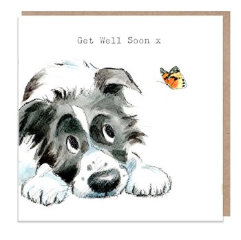 Guérissez bientôt - Carte de vœux de qualité - Illustration de chien charmant - Gamme 'Absolutely barking' - Border Collie - Fabriqué au Royaume-Uni - ABE022 1