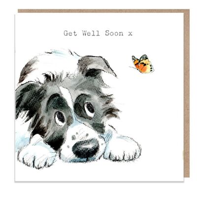 Get well Soon - Quality Greeting Card - Charming Dog illustration - 'Absolutely barking' range - Border Collie - Made in UK - ABE022