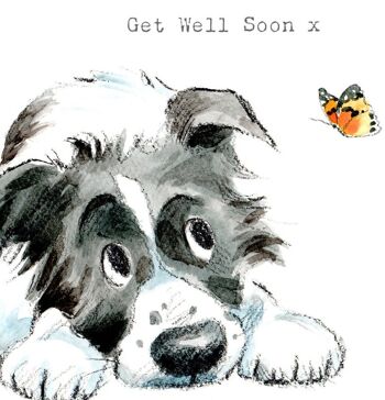 Guérissez bientôt - Carte de vœux de qualité - Illustration de chien charmant - Gamme 'Absolutely barking' - Border Collie - Fabriqué au Royaume-Uni - ABE022 2