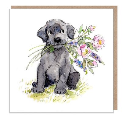 Biglietto bianco - Biglietto d'auguri di qualità - Illustrazione del cane affascinante - Gamma "Absolutely barking" - Labrador nero - Prodotto nel Regno Unito - ABE023