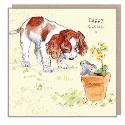 Easter Card - Quality Greeting Card - Charming illustration - 'Absolutely barking' range - Springer Spaniel - Made in UK - ABEASTER04
