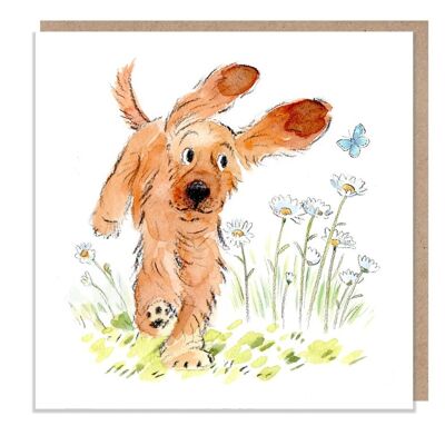 Tarjeta en blanco - Tarjeta de felicitación de calidad - Ilustración de perro encantador - Gama 'Absolutamente ladrando' - Cocker Spaniel - Hecho en el Reino Unido - ABE031