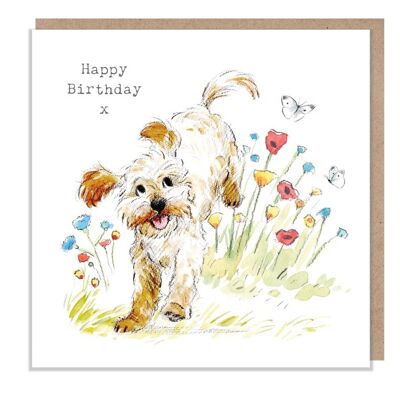 Biglietto di compleanno per cani - Biglietto di auguri di qualità - Illustrazione affascinante - Gamma "Absolutely barking" - Cockapoo/Labradoodle - Prodotto nel Regno Unito - ABE07