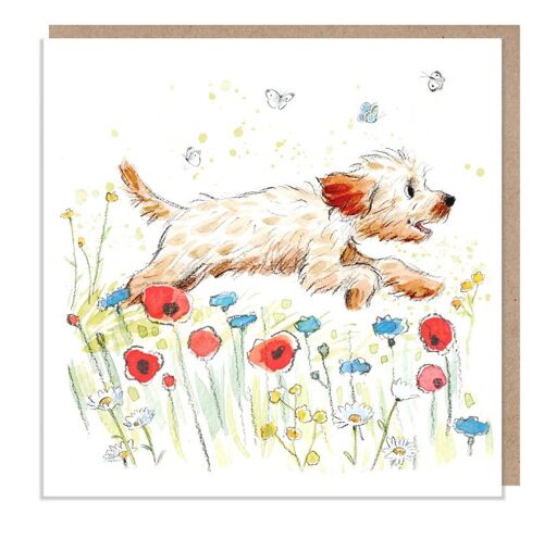 Blank Card - Quality Greeting Card - Charming Dog illustration - 'Absolutely barking' range -Cockapoo/Labradoodle type - Made in UK - ABE027