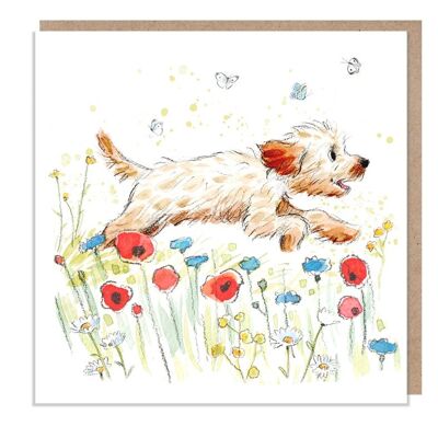 Tarjeta en blanco - Tarjeta de felicitación de calidad - Ilustración de perro encantador - Rango 'Absolutamente ladrando' - Tipo Cockapoo/Labradoodle - Hecho en el Reino Unido - ABE027