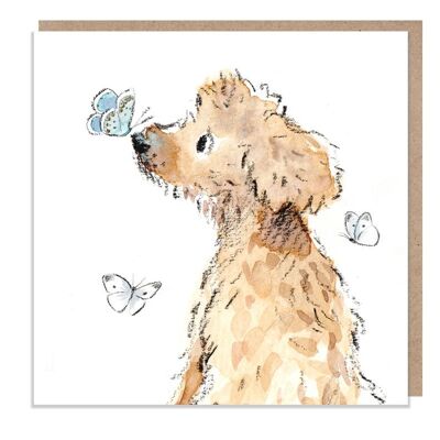 Tarjeta en blanco - Tarjeta de felicitación de calidad - Ilustración de perro encantador - Rango 'Absolutamente ladrando' - Tipo Cockapoo/Labradoodle - Hecho en el Reino Unido - ABE026