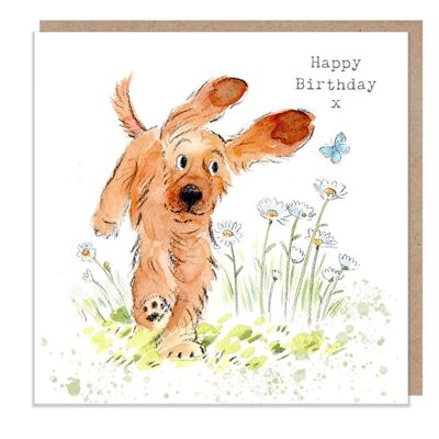 Dog Birthday Card - Quality Greeting Card - Charming illustration - 'Absolutely barking' range - Cocker spaniel- Made in UK - ABE041