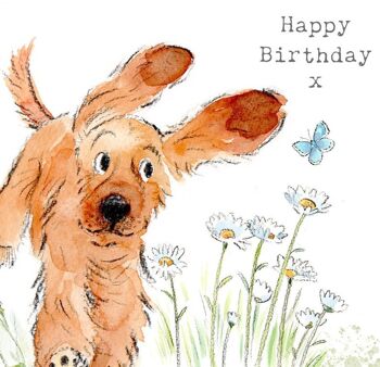 Carte d'anniversaire pour chien - Carte de voeux de qualité - Illustration charmante - Gamme 'Absolutely barking' - Cocker spaniel - Made in UK - ABE041 5