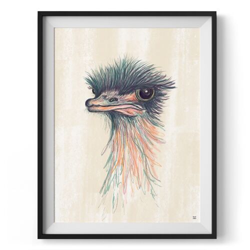 Ozzy The Ostrich Wall Art Print A4 andA3