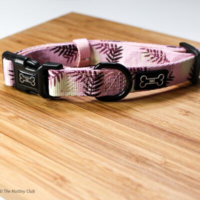 Palm Springs Adjustable Collar