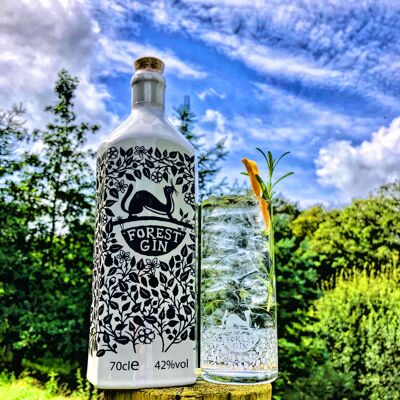 Forest Distillery London Gin Bottiglia in Porcellana 70cl -