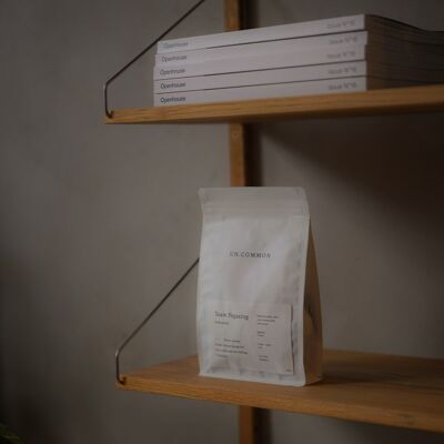 Team Pegasing - Indonesia - Anaerobic Natural - 250g - Pour Over
