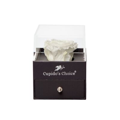 Jewelery box with Real White Rose