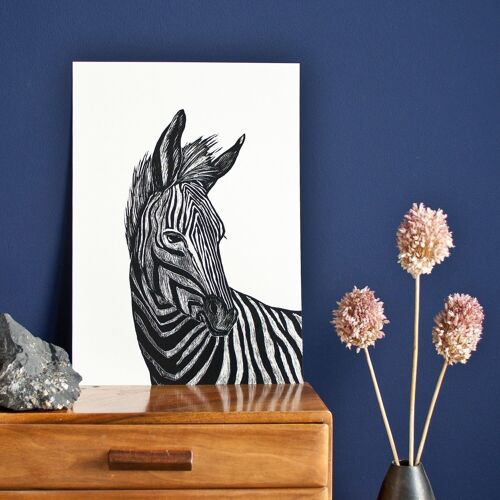 Poster | Zebra