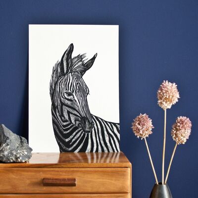 manifesti | zebra