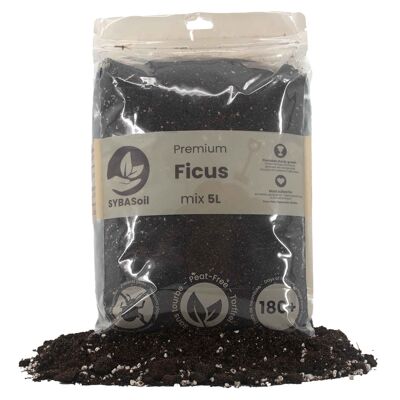 Ficus mix | 5L | Niente torba | Concime organico | Miscela di terreno | Terreno vegetale
