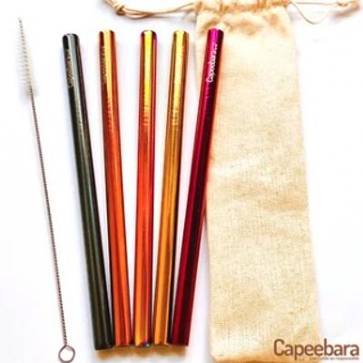 Stainless Steel Smoothie Straws - COLORED XXL PACK - Set of 5 XXL Straws + Brush
