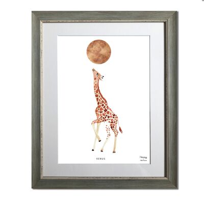 La jirafa y Venus - Sin marco