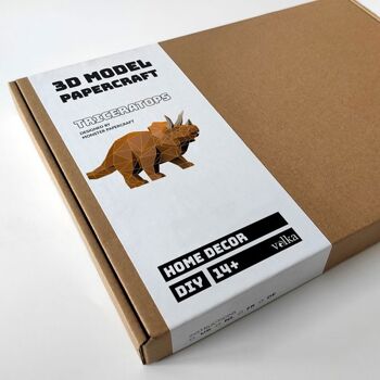 Kit DIY Dinosaure – Triceratops 5