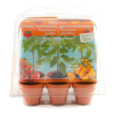 Mini invernadero de plástico reciclado - Tomates ecológicos