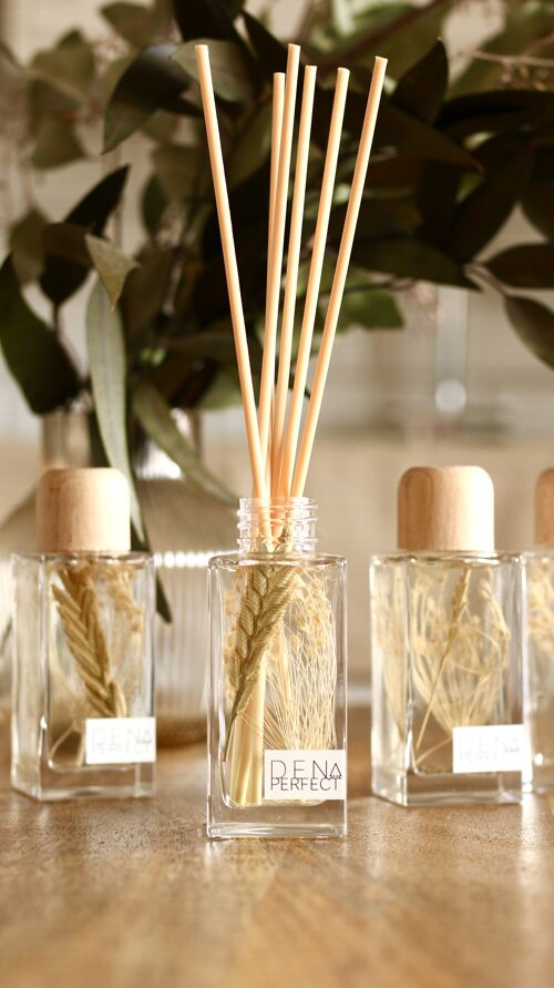 Botanical Reed Diffuser – Mango