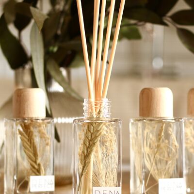 Botanical Reed Diffusor – Mango