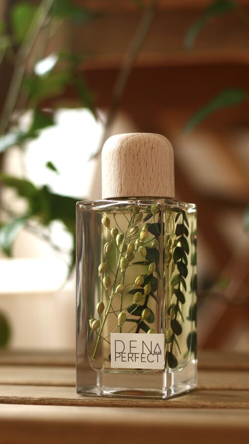 Botanical Reed Diffuser – Eucalyptus Mint