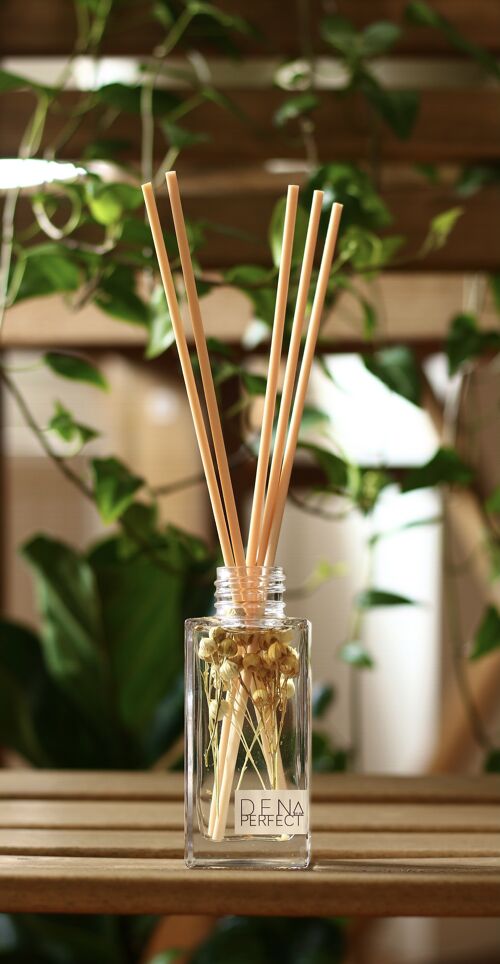 Botanical Reed Diffuser – Cocoa Patchouli
