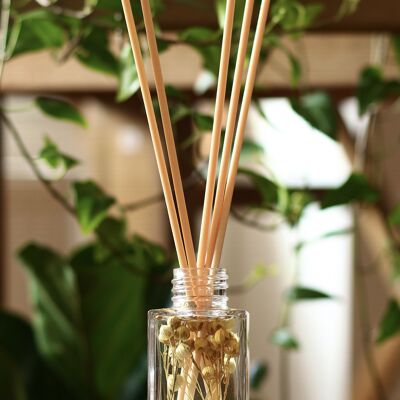 Botanical Reed Diffuser – Cocoa Patchouli