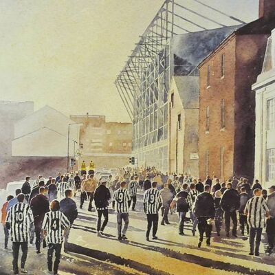 Toon Army, NUFC
