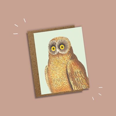 Mini tarjeta de felicitación Mellow Owl