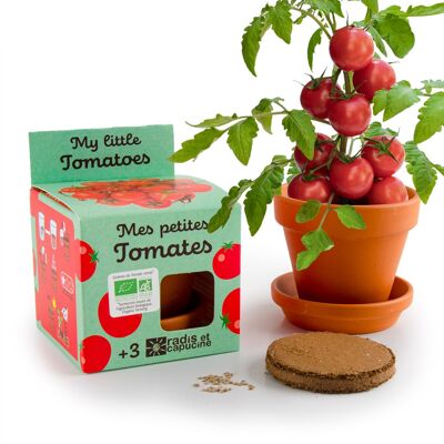 Mes petites Tomates - Pot terre cuite 8 cm