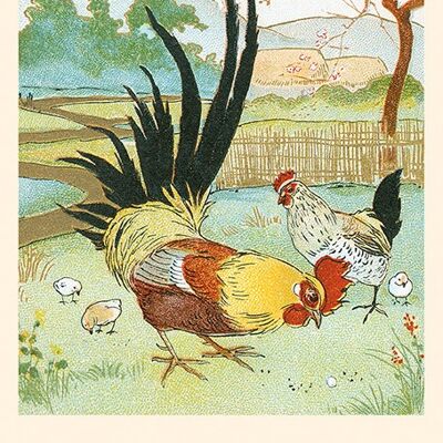 Carte Fable: Le Coq et la Perle