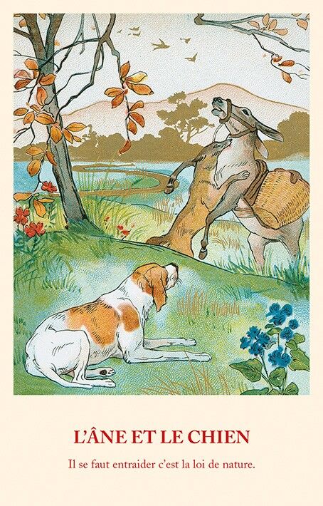Fable Card: L'asino e il cane