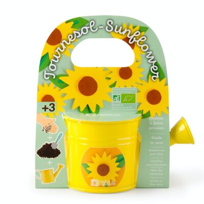 Mini yellow watering can and sunflower to sow