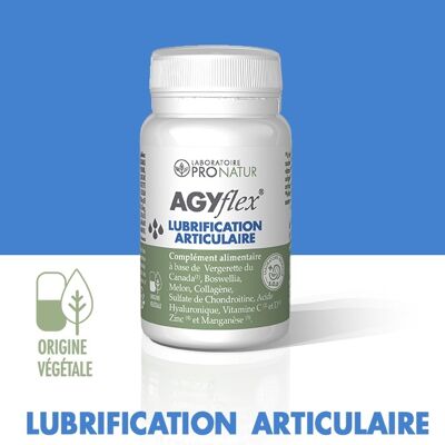 Lubrification articulaire