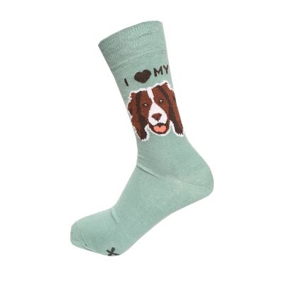 Springer Spaniel Socks