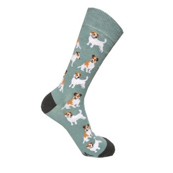 Motif Jack Russell Chaussettes 2