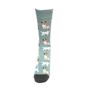 Motif Jack Russell Chaussettes 3